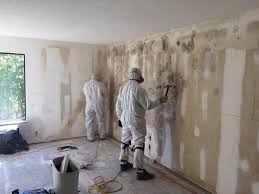 Best Mold Damage Restoration  in Holly, MI